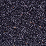 Cey Natural Foods Beluga Mercimeği 500 g