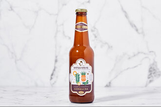 Vitruvius Kombucha Sap Kereviz & Ananaslı Fermente Çay 330 ml