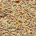 Bonatelli Sebzeli Vegan Arpa Şehriye 500 g