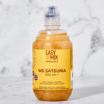 Easy Mix WS Satsuma Karışık Meyveli İçecek 500 ml