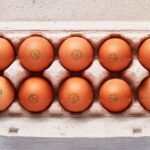 Seyyahın Çiftliği Organik Yumurta 10'lu