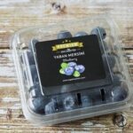 Excelente Yaban Mersini ( Blueberry ) 125 g
