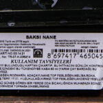 Erüst Saksıda Nane Adet