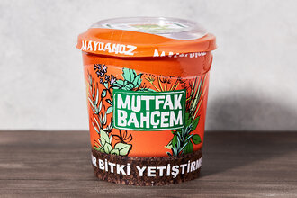 Meraklı Bahçeci Maydanoz Yetiştirme Seti