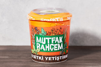 Meraklı Bahçeci Dereotu Yetiştirme Seti