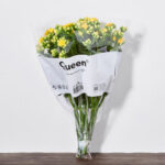 QUEEN Kalanchoe Çiçek Demeti 6'lı